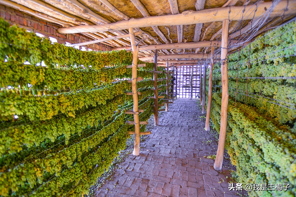 吃葡萄干要不要洗听果农们怎么说,葡萄干吃前一定要清洗吗