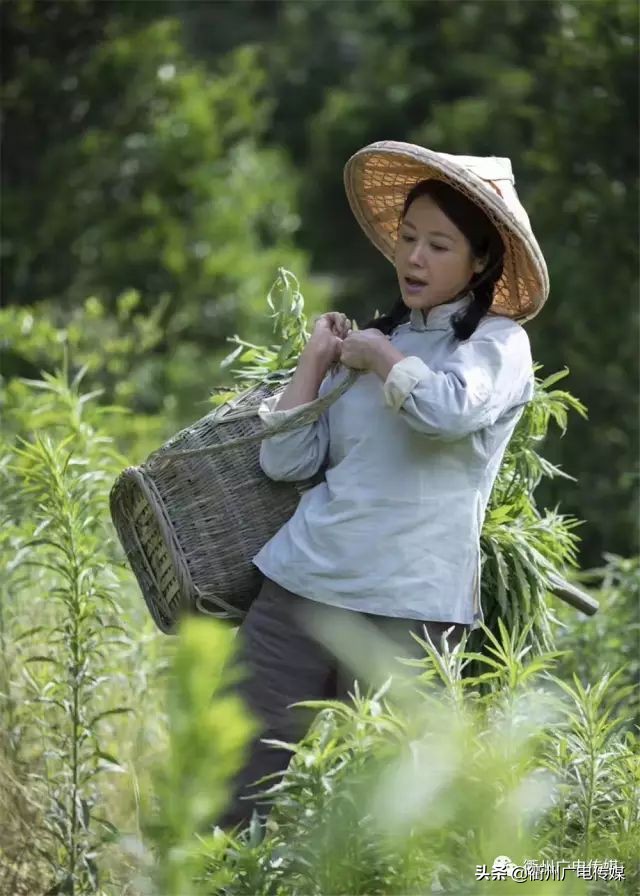衢产电影《台阶》昨晚在杭首映!一起走近影片背后的故事……