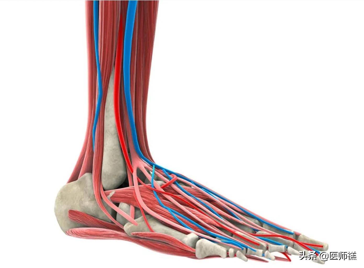 足底筋膜炎吃普通消炎药能缓解吗,足底筋膜炎睡一觉可以缓解吗
