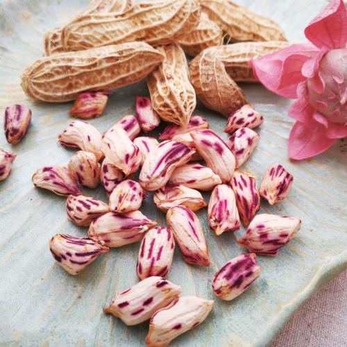 七彩花生是不是转基因花生,红皮花生和七彩花生谁好