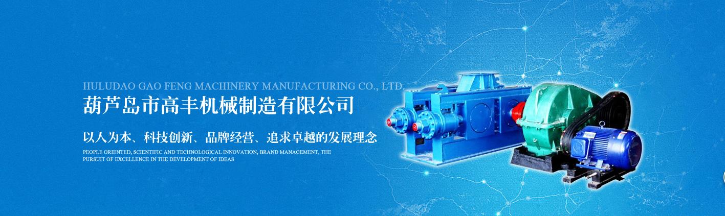 葫芦岛高丰机械，多型号压球机任君选择