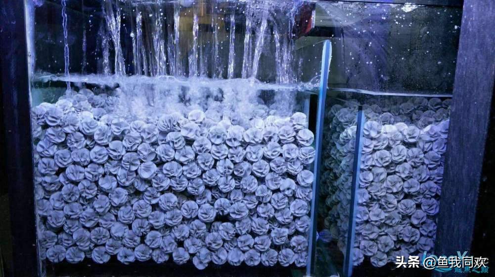 养鱼过滤系统原理,7s鱼缸的飞泓过滤系统怎么样