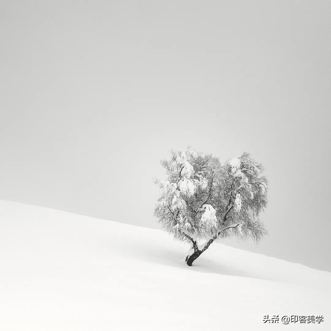 四季插画图片大全,100张唯美插画图