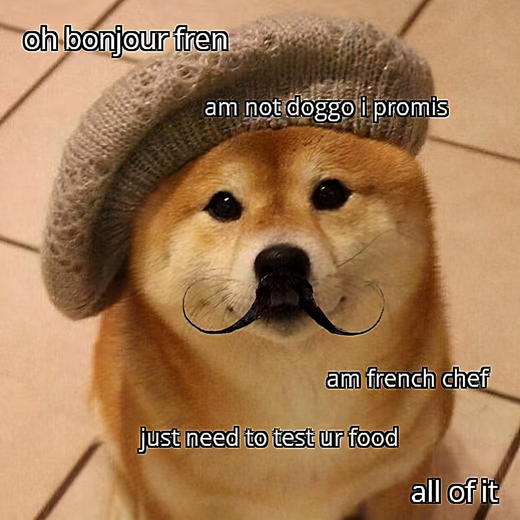 柴犬价格会因为季节变化而变化吗?