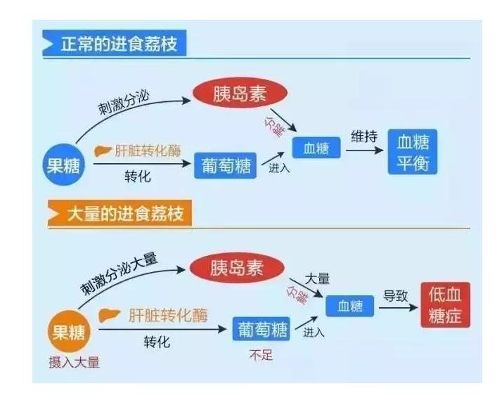 荔枝吃多了会得荔枝病吗,荔枝怎么吃不会得荔枝病