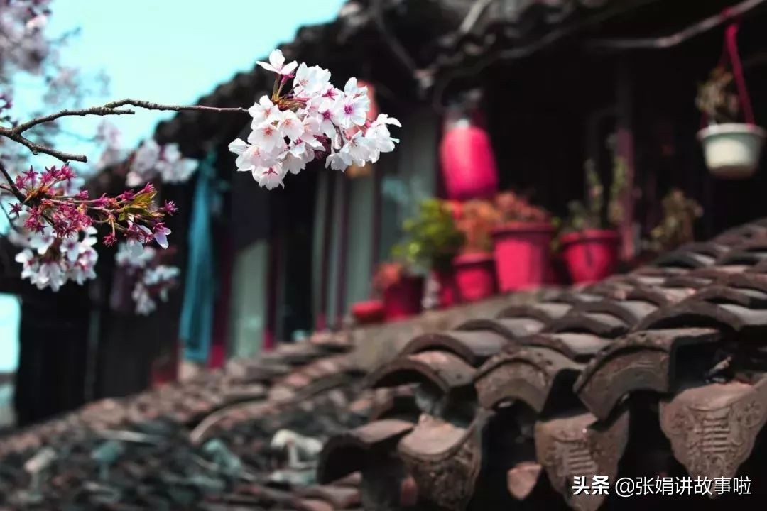 元曲关汉卿小令全集,元曲四大家之首关汉卿的代表作