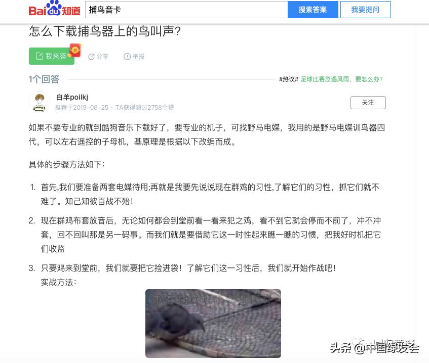 又见电商售卖“电媒捕鸟器”，鸟儿何其辜？