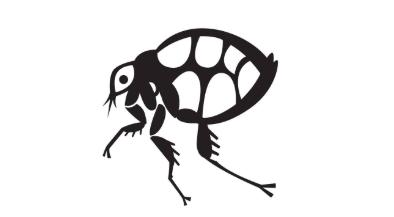 跳蚤怎么消灭最彻底最快,小孩头上跳蚤怎么消灭