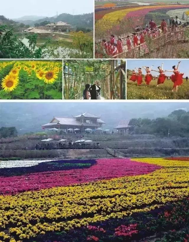 汕头濠江区十大旅游景点,汕头揭阳旅游必去十大景点