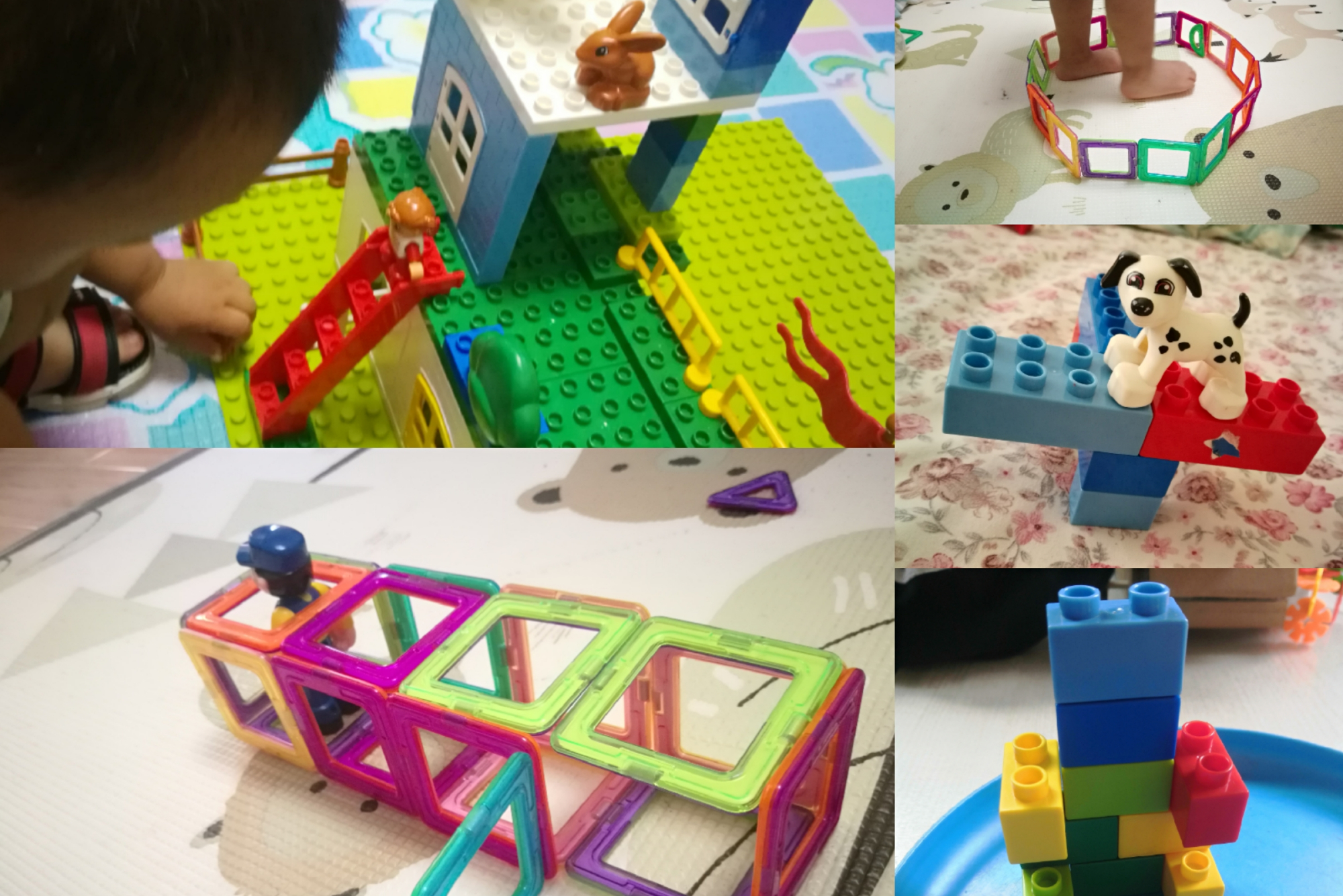 武汉新冠一家三口,疫情下广州一家三口晚餐