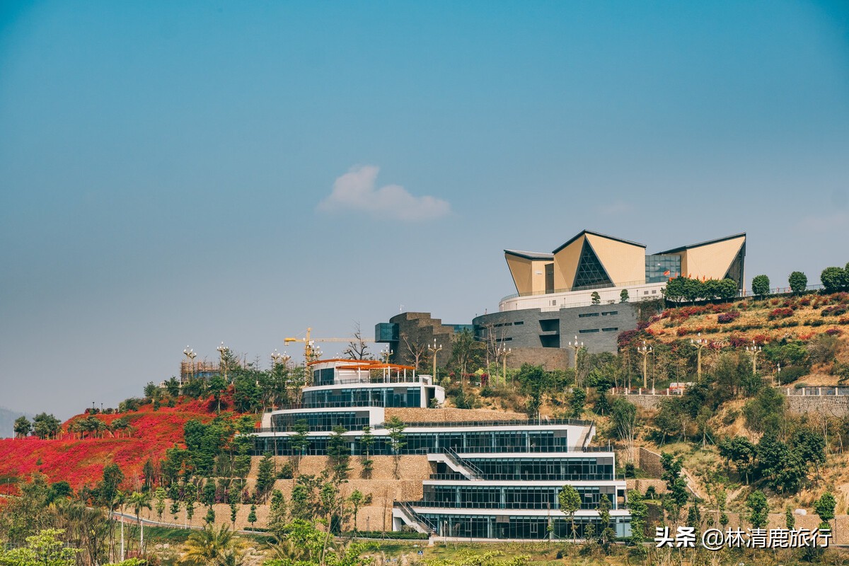 攀枝花康养胜地价格,攀枝花的康养基地冬天的价格