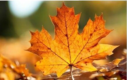 孤独前是迷茫孤独后是成长原文,孤独前是迷茫孤独后是成长配图