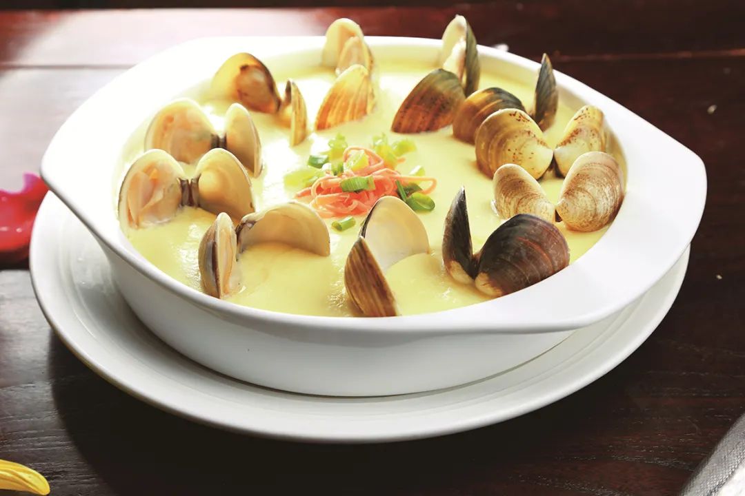 蛤蜊蚶子蛏子区别,蛏子海螺牡蛎蛤蜊