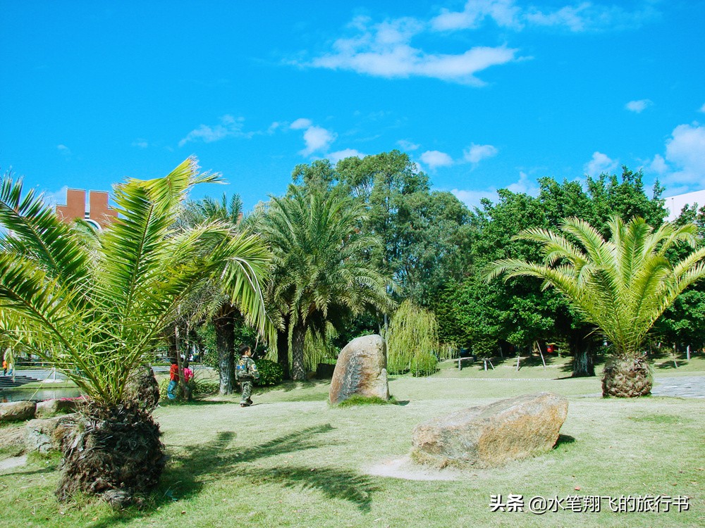 厦门有这样一个地方｜小和尚的邻居是大学生，古朴与摩登并存