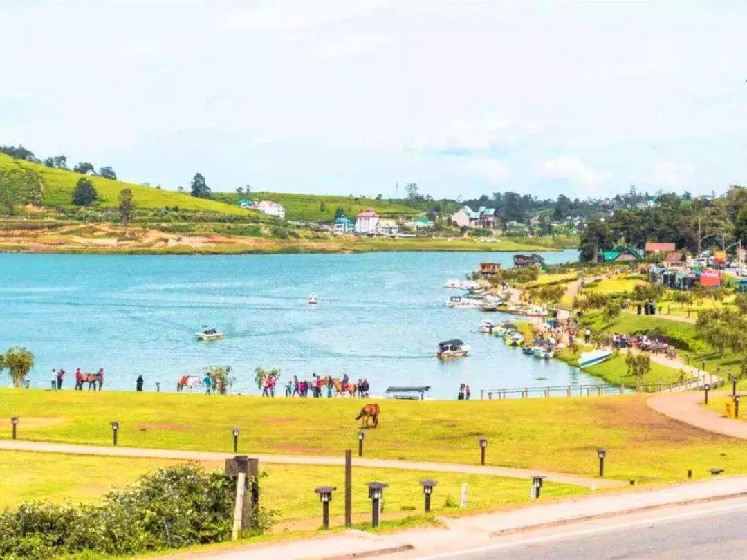 如火如荼|红茶界的F4，来啦