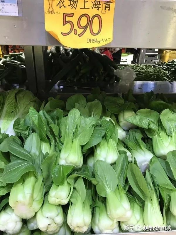 迪拜物价有多高,迪拜物价咋样的