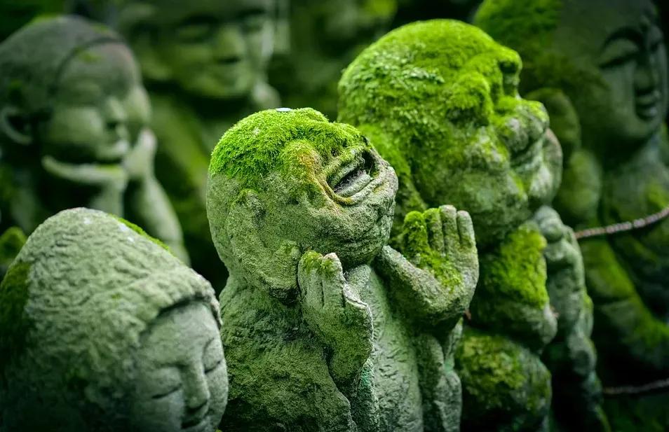 imgreen什么意思,imgreen是什么意思