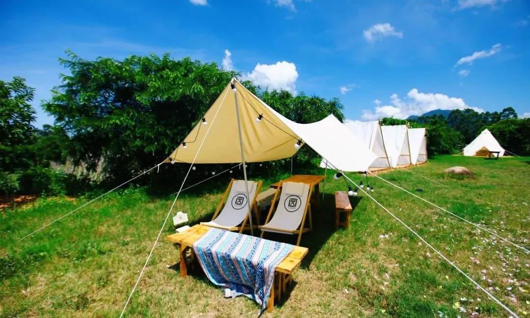 收藏!刷爆小红书的深圳济州岛绵羊牧场咖啡厅,256G都不够拍