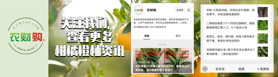 疮痂病，现已发现发病！常规、高阶、以及顶级版用药推荐