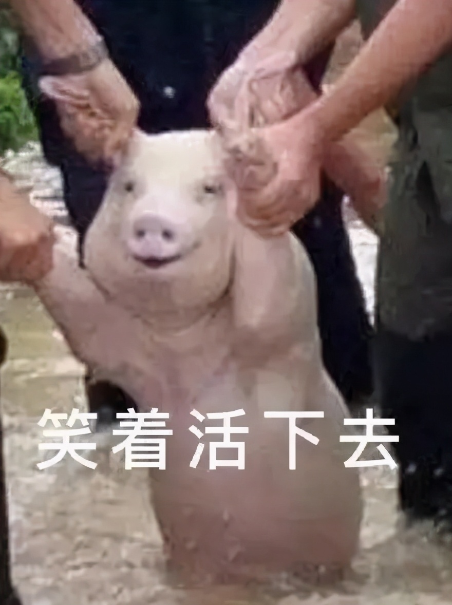 大众点评刷打卡封号么,大众点评一次性评论太多会封号吗