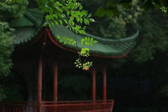 全球疫情爆发对老百姓的生活影响,这次疫情期间中国人怎么样了