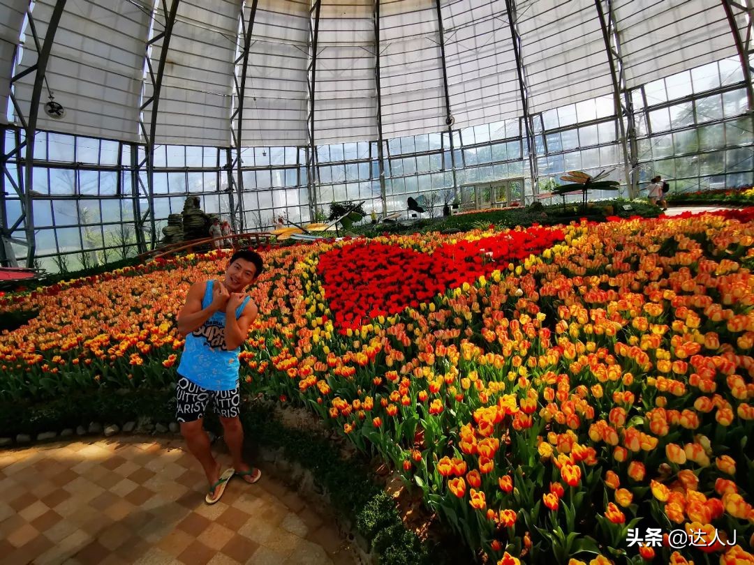 北京珍珠岛乐园,芽庄珍珠岛游乐园在哪儿