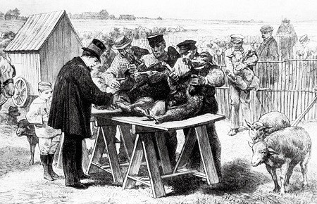 古代瘟疫预警方法,都说疫情跟感冒一样是不是真的