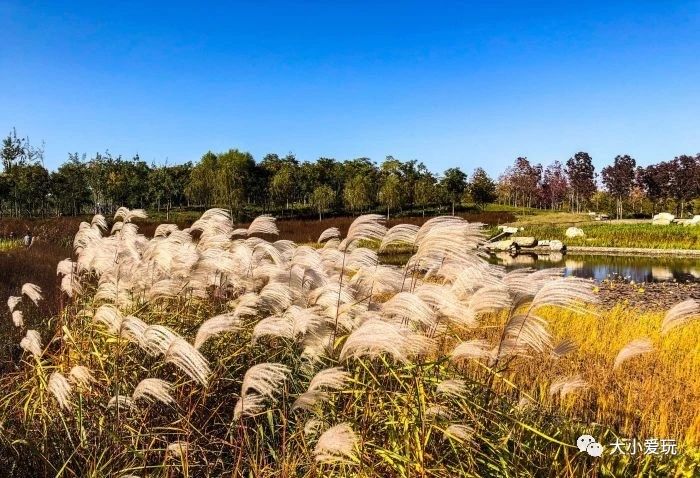北京大型室内儿童游乐场,北京露天游乐场地设计