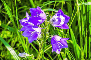 个性签名简短精辟句子大全,盘点那些精辟犀利的个性签名