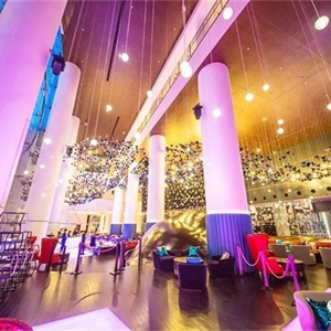 广州w酒店案例分析,苏州餐饮酒店设计案例