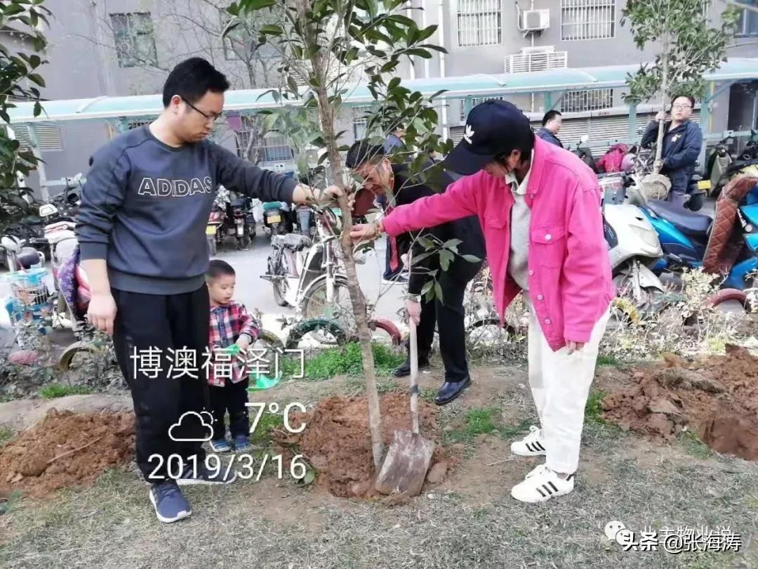 赞！旧貌换新颜，只因小区有了业主大会