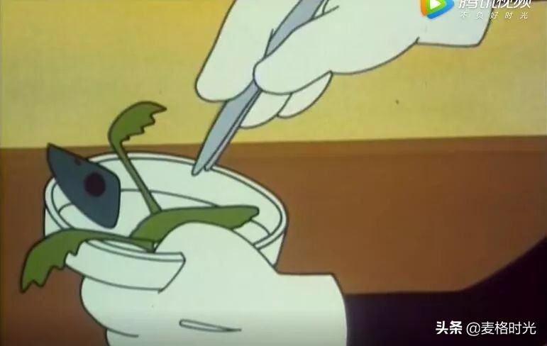 戴铁郎黑猫导演,黑猫导演戴铁郎