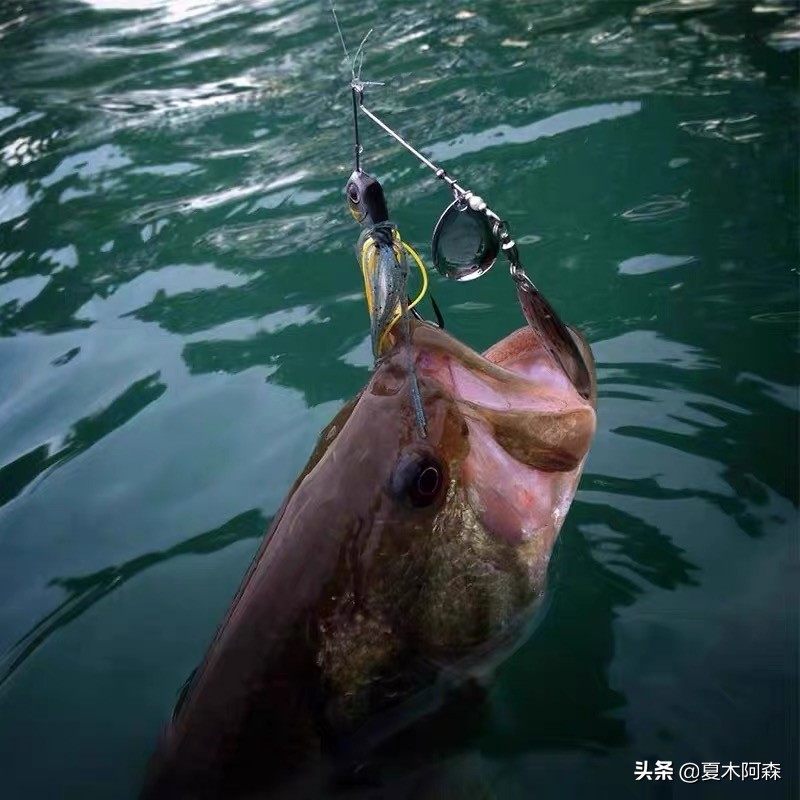 路亚不了解饵重,路亚不知道钓什么