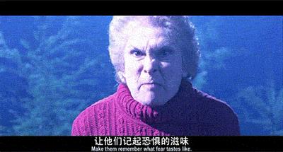 杰森大战鬼王弗莱迪,弗莱迪大战杰森系列