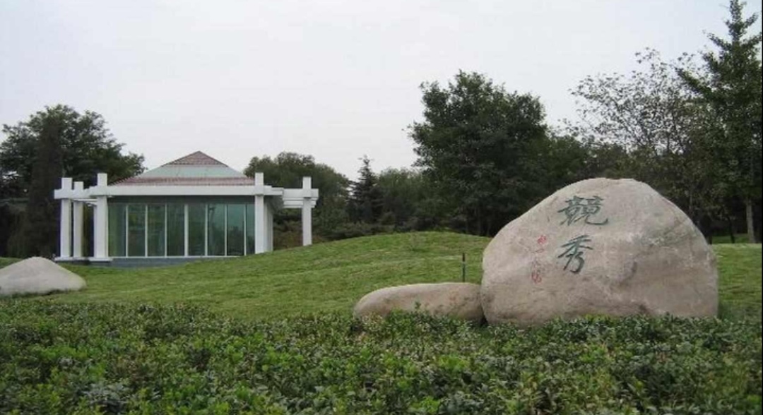 “百千桑梓地，亿万老家人”。河北省___保定市___竞秀区