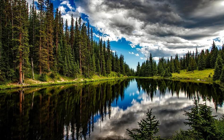 arbor植树节,arborday