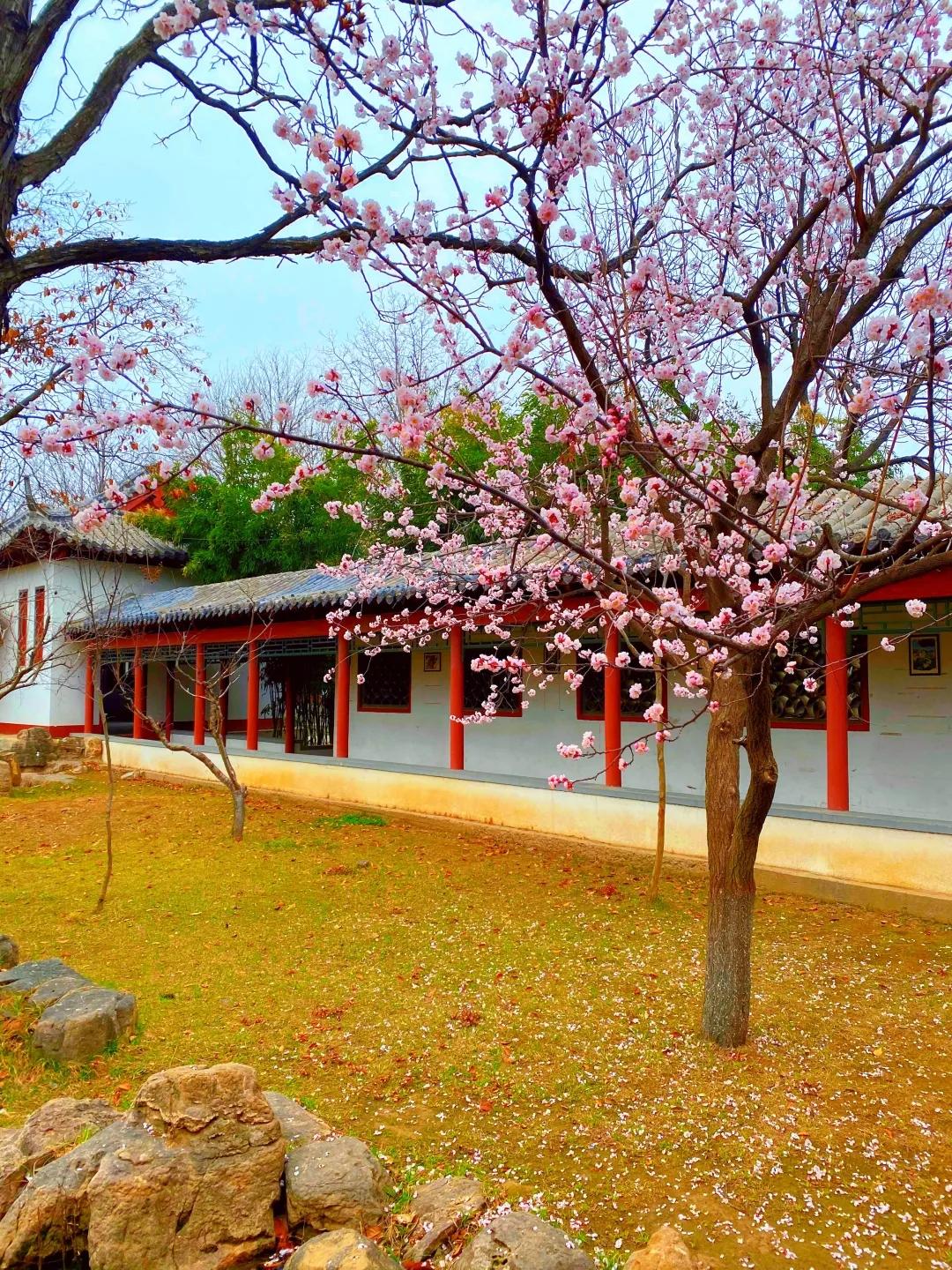 聊城姜堤乐园的门票是多少钱,姜堤乐园玻璃桥