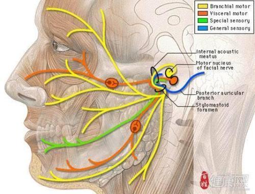 张医生治病救人后续,左眼皮一直跳咋回事好像痉挛