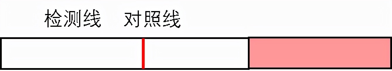排卵试纸的正确用法,月经前用排卵试纸