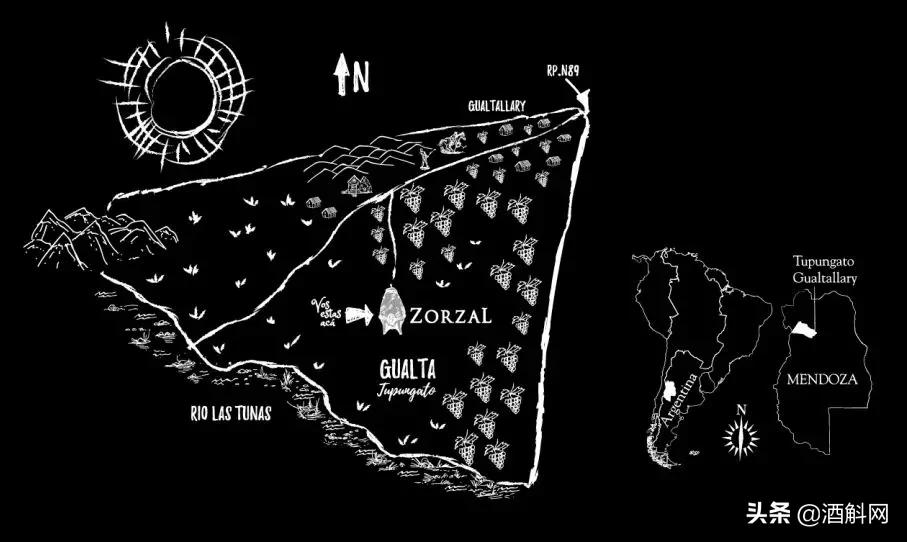 一瓶真正的自然酒的诞生丨Zorzal酒庄专访