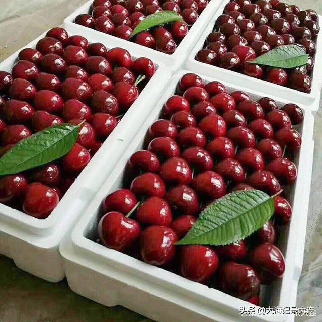 大连旅顺深度游,大连旅顺旅游必去景点排名