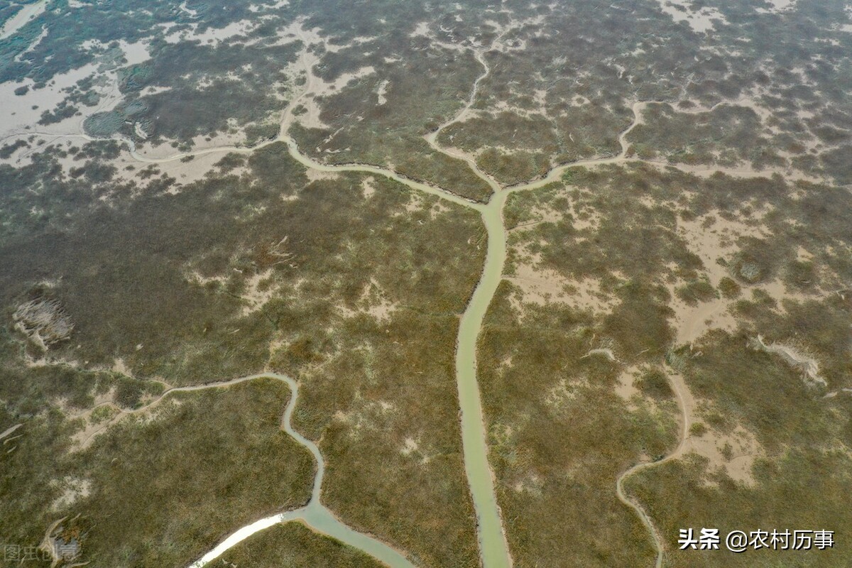 山东正在崛起的城市是菏泽吗,山东最不发达的几个县区