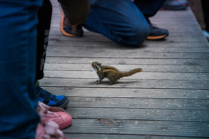 消失的地平线上的“香巴拉”和“女儿国”（二）