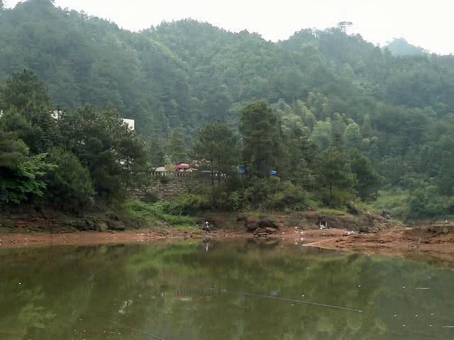 钓鱼人的困惑,这种健鲤和平常鲤鱼不一样吗?