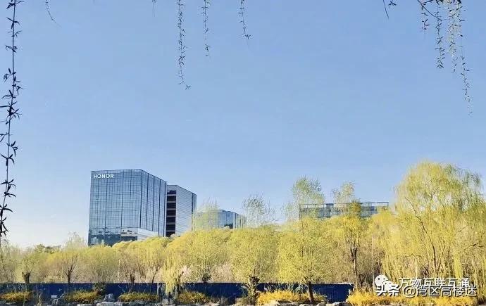 荣耀集团深圳新一代科技园,荣耀深圳全球总部地址