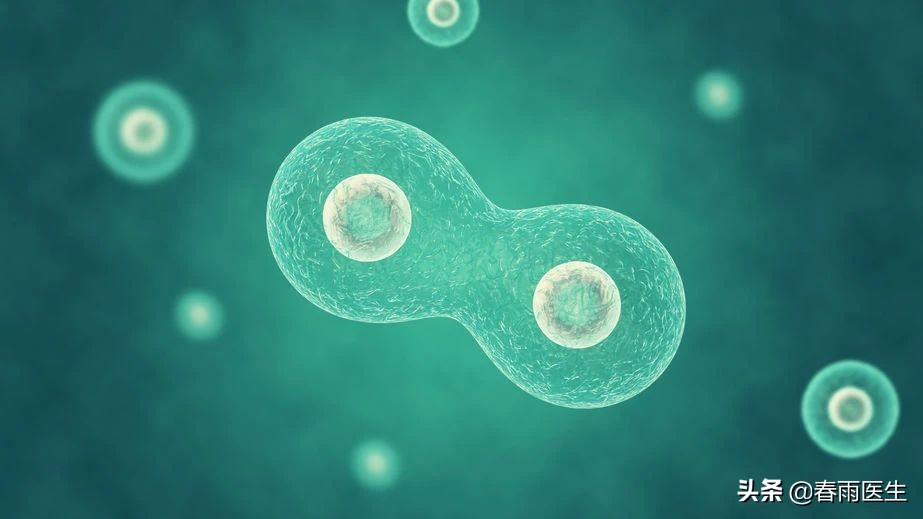 干细胞治疗能干什么,什么地方可以进行干细胞治疗