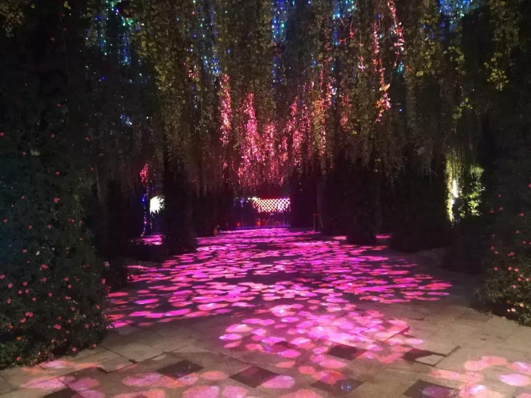 玩转秋梦,尽兴奇幻丨花径探奇乐园首次亮相,奇趣酷玩迎国庆