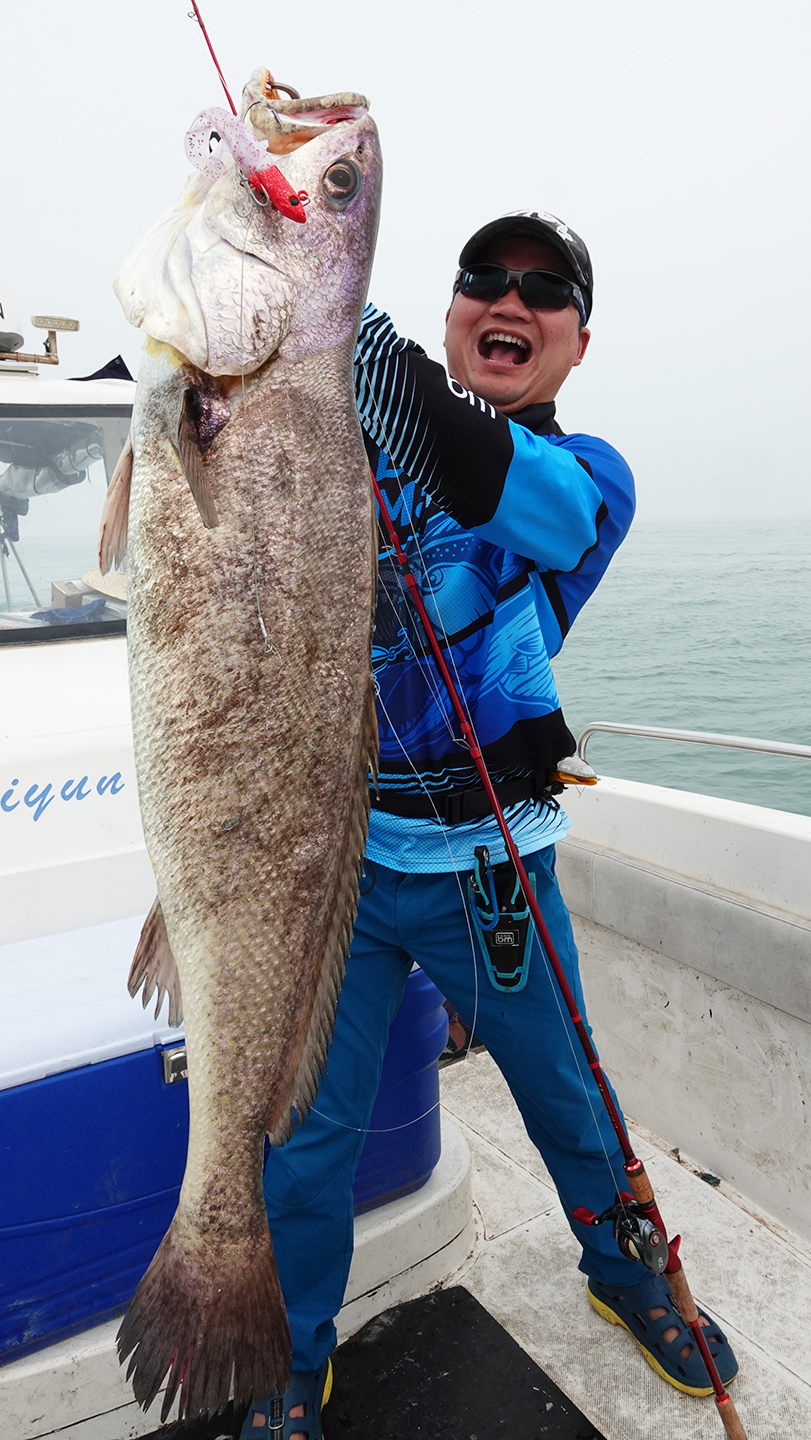 蓝旗鱼怪物路亚,实战派蓝旗鱼路亚