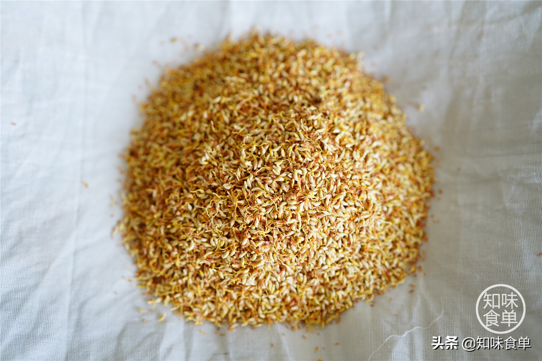 食单丨手工冰粉制作丨最全冰粉制作指南，天然*物冰植**粉大比拼