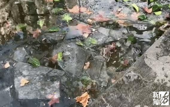 乐极生悲？上海人都开始练冰上运动了，但有人落水，有人撞断消防栓…